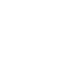 Vanguard Laboratory